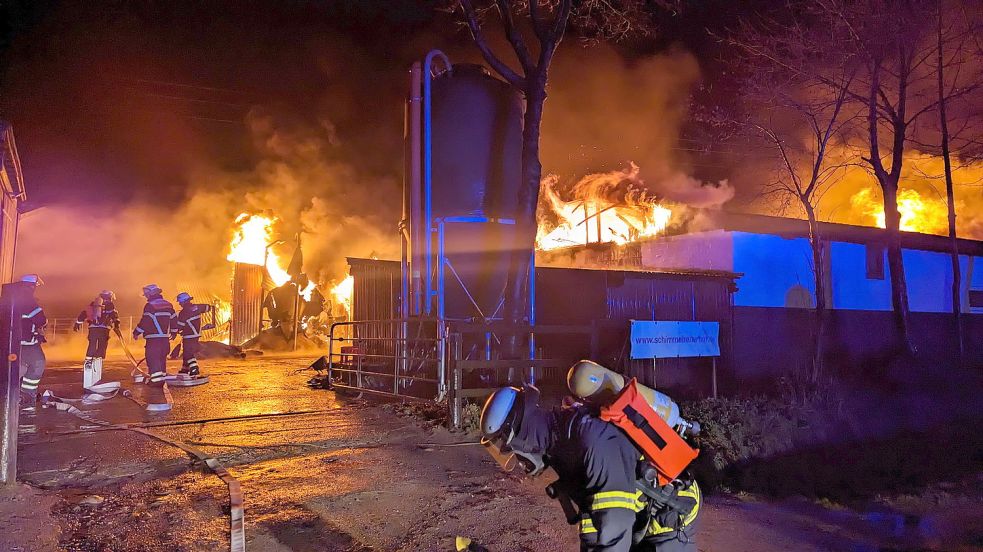 Hamburg Sieben Tote Pferde Bei Feuer Reiterhof In Hamburg Unter