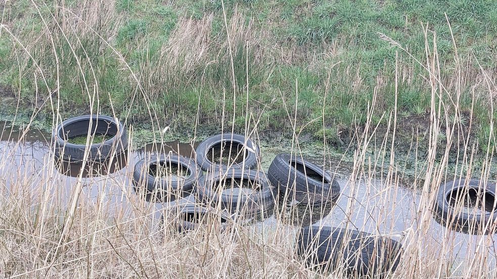 Zeugen gesucht Müll in Victorbur illegal entsorgt Ostfriesische