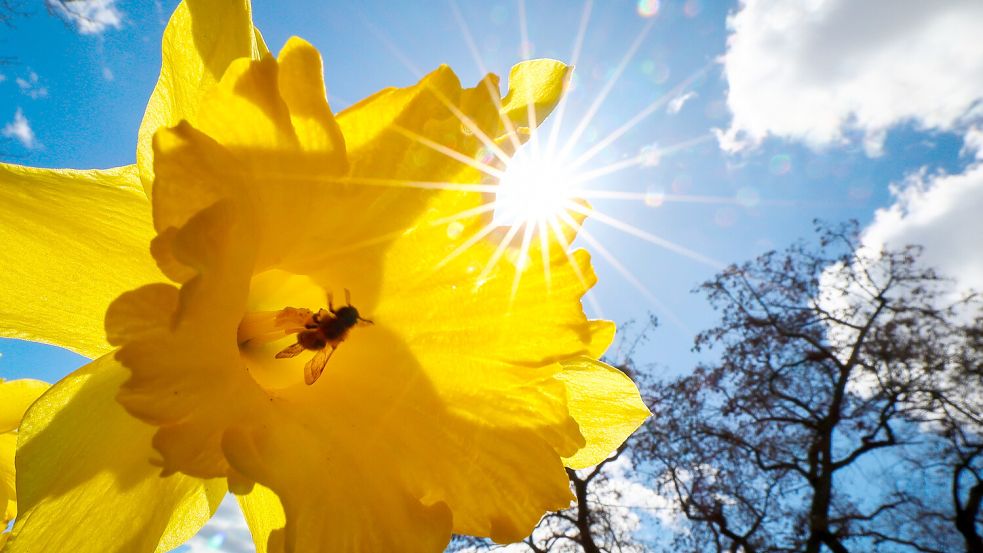 Hamburg Macht Sonne wirklich glücklich Der Mythos im Faktencheck