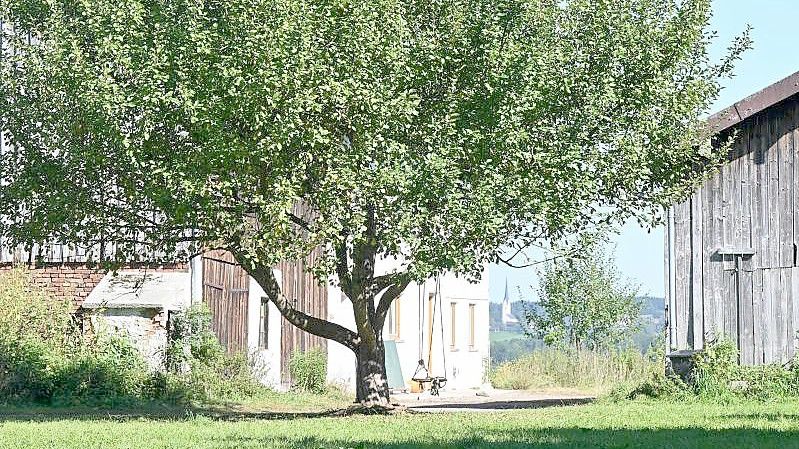 Hof in der Gemeinde Schechen, auf dem nach Angaben der Behörden eine nicht genehmigte Schule untergebracht war. Foto: Peter Kneffel/dpa