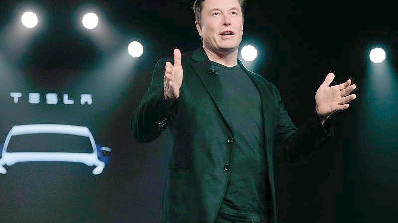 Tesla-Chef Elon Musk präsentiert sich heute in Grünheide seinen Fans. Foto: Jae C. Hong/AP/dpa