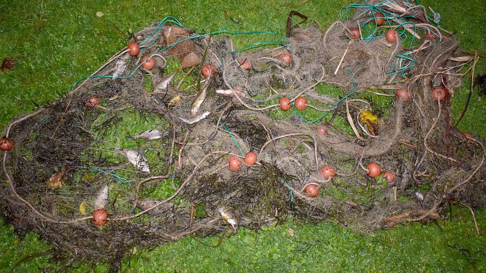 In diesem Kiemennetz verendeten die Fische qualvoll. Foto: privat