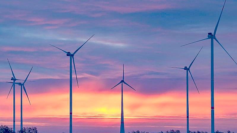 Viele Länder Akzeptanzprobleme vor Ort als große Herausforderung für den weiteren Windenergieausbau. Foto: Patrick Pleul/dpa