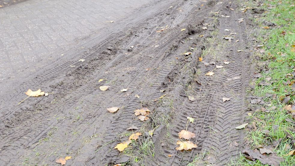 Die Seitenstreifen wurden stark in Mitleidenschaft gezogen. Foto: Aiko Recke