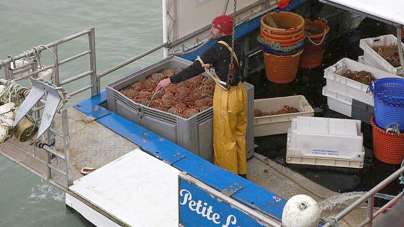 Ein Fischer entlädt Krabben von einem französischen Trawler, der aus britischen Gewässern in den Hafen von Granville in Frankreich eingefahren ist. Foto: Nicolas Garriga/AP/dpa