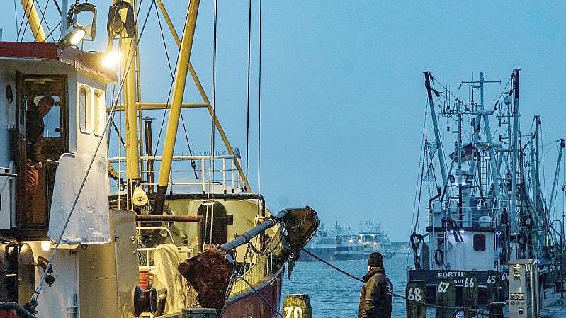 Fischerboote haben im Fischereihafen Büsum angelegt. Die EU-Ministerinnen und Minister für Agrar und Fischerei haben sich über die Fangmöglichkeiten der wichtigsten Bestände der EU für das Jahr 2022 geeinigt. Foto: Axel Heimken/dpa