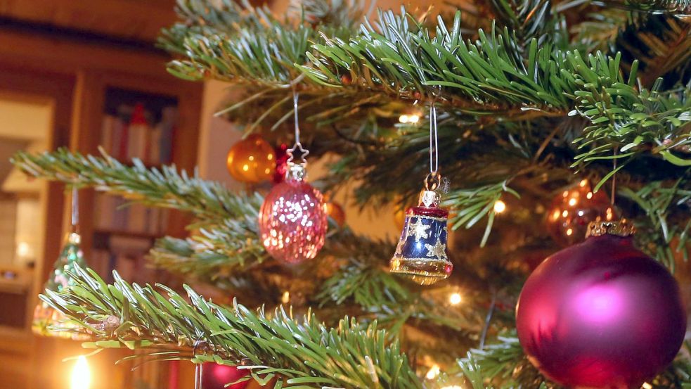 Weihnachtsbäume können für Allergiker Gesundheitsrisiken bergen. (Symbolbild) Foto: dpa/Karl-Josef Hildenbrand