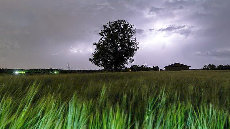 Blitze entladen sich über einem Baum bei Grasbrunn. Foto: Matthias Balk/dpa