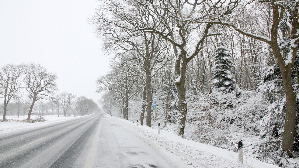 Entlang der B210 zwischen Plaggenburg und Middels stehen zahlreiche kräftige Eichen am Straßenrand. Die Gefahr von potenziell tödlichen Baumunfällen soll in diesem Jahr durch neue Schutzplanken gebannt werden. Dieses Foto entstand im vergangenen Februar. Foto: Romuald Banik