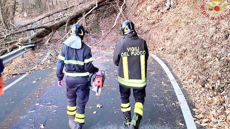 Feuerwehrleute räumen eine Straße in der Provinz Turin (Region Piemont), auf die mehrere Bäume gestürzt sind. Foto: Vigili del Fuoco/dpa