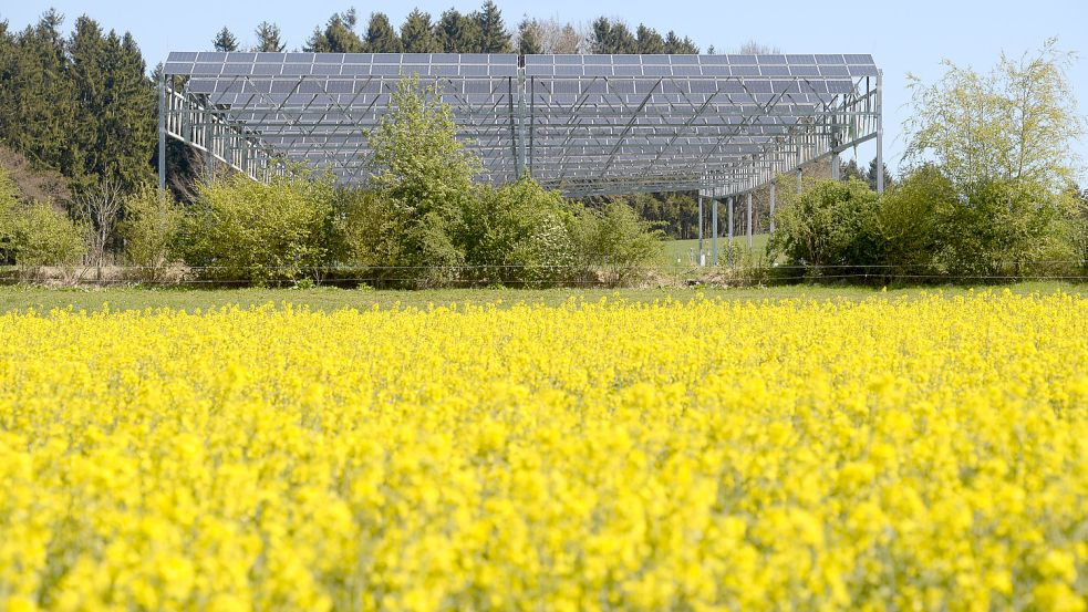 Mit deutlich mehr Solaranlagen auf landwirtschaftlichen Flächen will die Bundesregierung den Ausbau der erneuerbaren Energien vorantreiben. Foto: Patrick Seeger/dpa