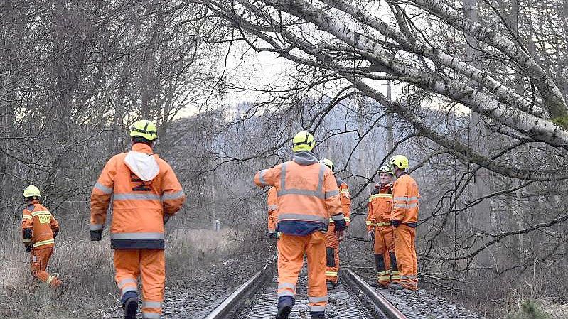 Das Sturmtief „Zeynep“ hat auch in Tschechien erhebliche Schäden angerichtet. Foto: Pavlíèek Lubo/CTK/dpa