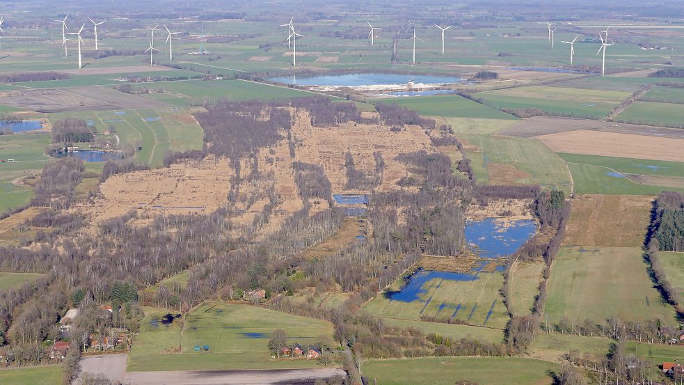 Blick über das wiedervernässte Osteregelser Moor. Foto: Bernd Heiken