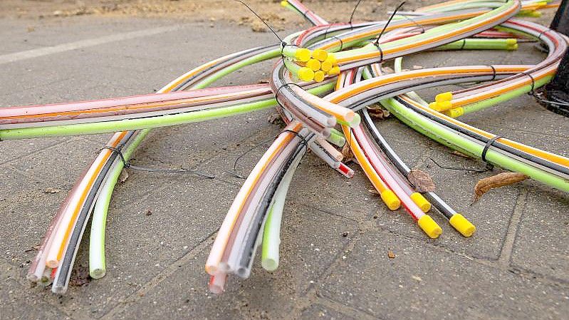 Wird Deutschland mit dem Glasfaser-Ausbau zu einem Vorzeige-Staat in Sachen Highspeed-Internet?. Foto: James Arthur Gekiere/BELGA/dpa