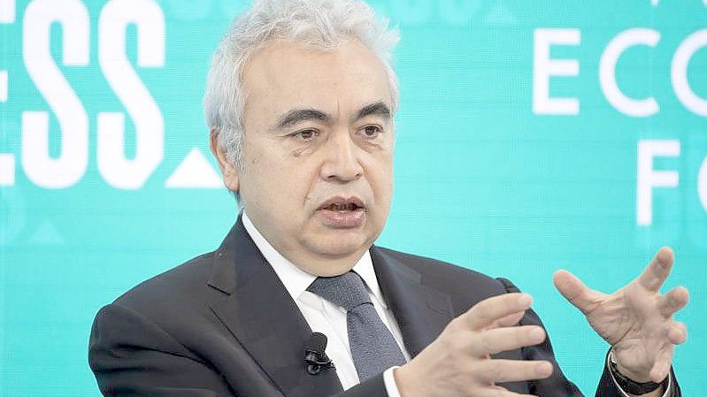 IEA-Direktor Fatih Birol stimmt optimistisch, dass erneuerbare Energiequellen kräftigen Zuwachs haben. (Archivbild). Foto: Valeriano Di Domenico/World Economic Forum/dpa