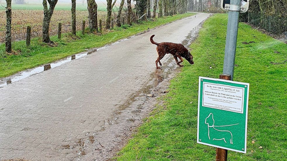 Am Beginn des Neuseedeichweges weist jedes Jahr ein Schild auf die Leinenpflicht hin. Diese gilt aber nicht auf dem öffentlichen Radweg, der durch die Felder führt. Foto: Rebecca Kresse