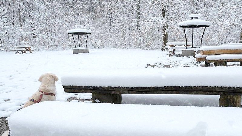 In Baden-Württemberg - wie hier in Stuttgart - fiel am meisten Schnee. Foto: Bernd Weißbrod/dpa