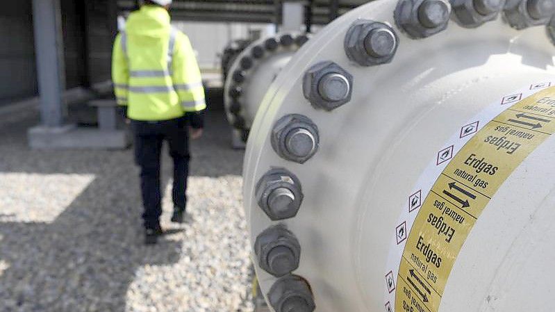 Ein Mitarbeiter geht an einem Teil einer Erdgasleitung am Gelände der Gas Connect Austria Verdichterstation. Foto: Harald Schneider/APA/dpa