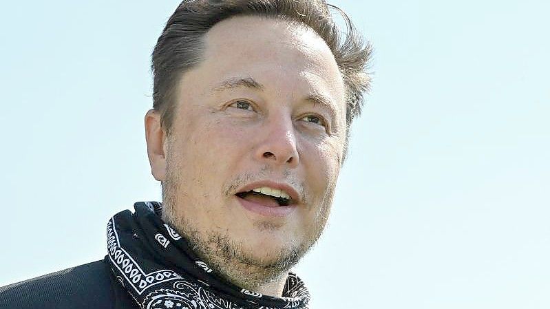 Tech-Milliardär Elon Musk zieht in den Verwaltungsrat von Twitter ein. Foto: Patrick Pleul/dpa-Zentralbild/dpa