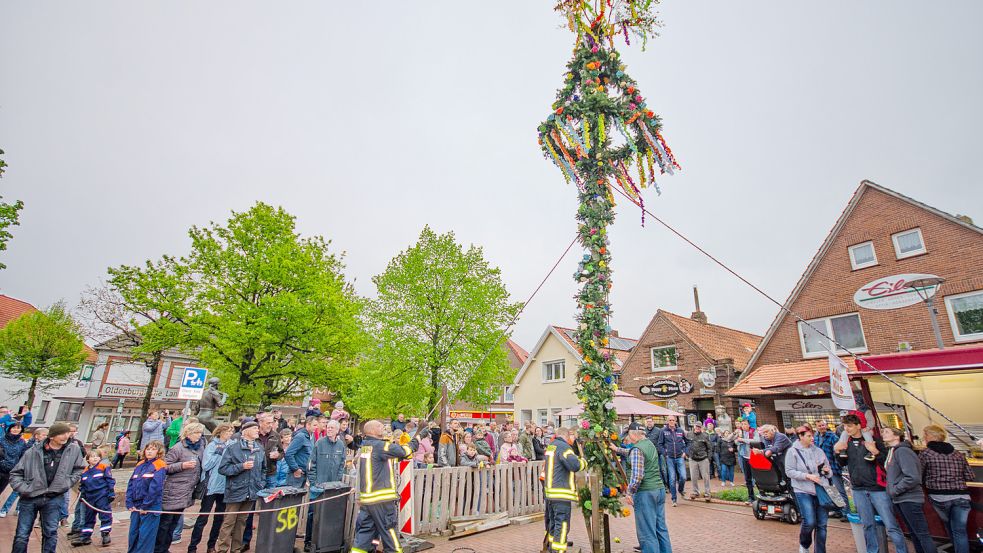 Zuletzt wurde der Maibaum 2019 in Verbindung mit einer Feier hochgezogen. Foto: Folkert Bents