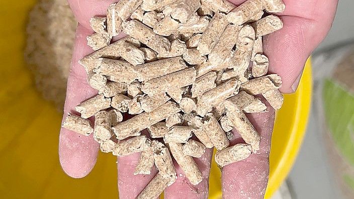 Die Pellets sind kleine Presslinge aus Spähne, die zum Teil in der Möbelindustrie entstehen. Sie sind mit einem Lebensmittelkleber gepresst. Umso höher die Pressung, desto höher ist auch der Heizwert. Foto: Michael Kuhr