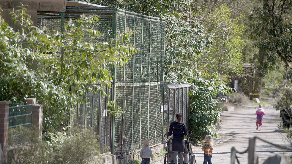 Besucher sind im Zoo von Stralsund unterwegs. Peta sieht darin reine Unterhaltung und fordert die Schließung solcher Einrichtungen. Foto: Stefan Sauer/dpa