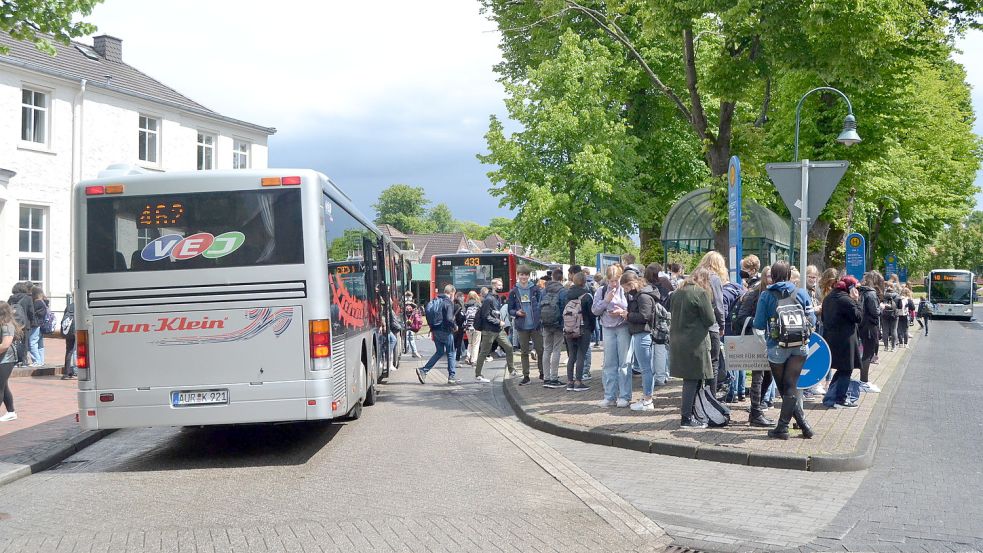 Voller als gewohnt waren die Busse am Mittwoch in der Region. Foto: Neelke Harms