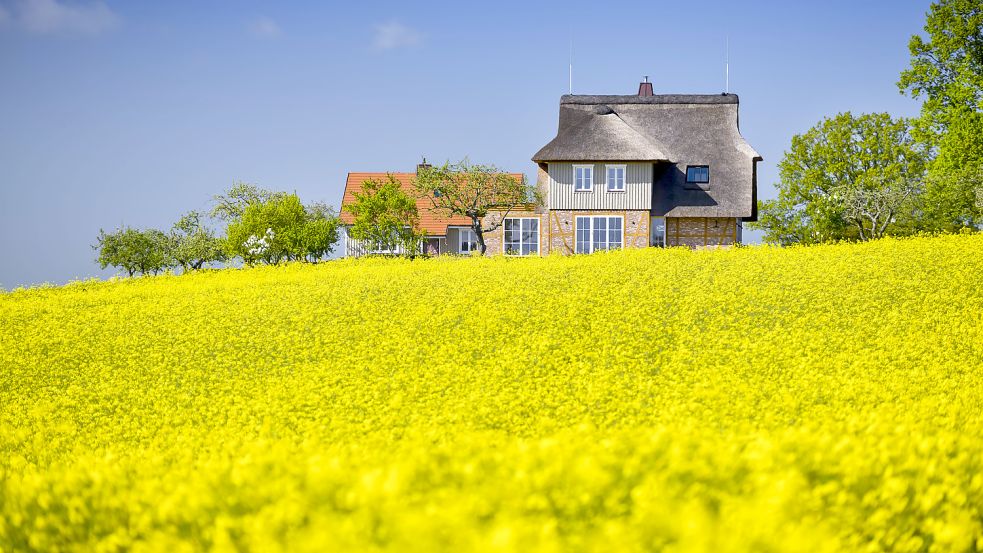 Die Kosten für den kreditfinanzierten Bau oder Kauf einer Immobilie sind seit Jahresbeginn deutlich gestiegen. Foto: Imago Images/Christian Ohde