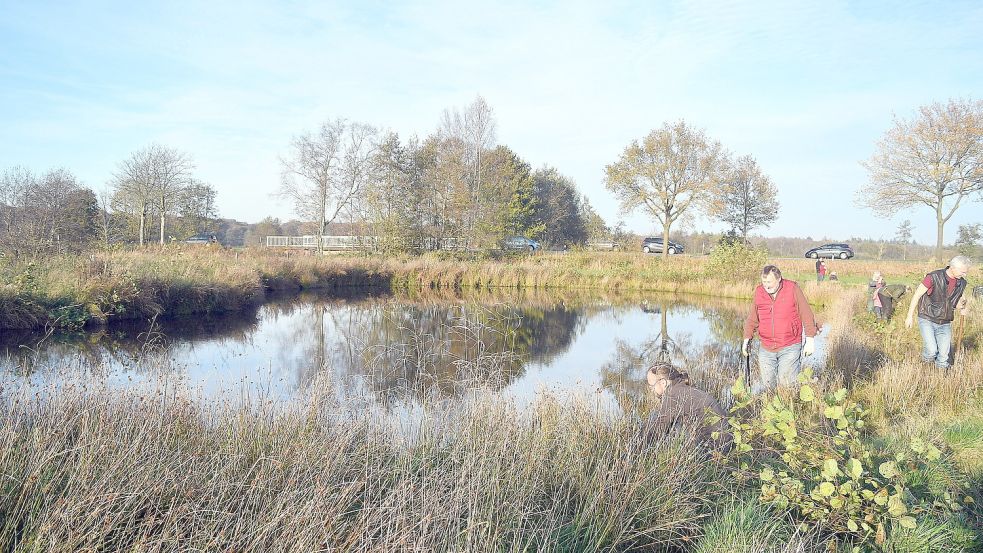 BUND-Vorsitzender Rolf Runge (rote Jacke) und seine Helfer am Sonnabend beim Arbeitseinsatz in Ihlow. Der etwa 800 bis 900 Quadratmeter große Teich ist Eigentum des Landkreises. Foto: Gerd-Arnold Ubben