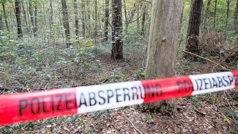 In einem Waldstück im Mecklenheider Forst in Hannover fand ein Pilzsammler im Oktober eine Leiche. Foto: dpa/Michael Matthey