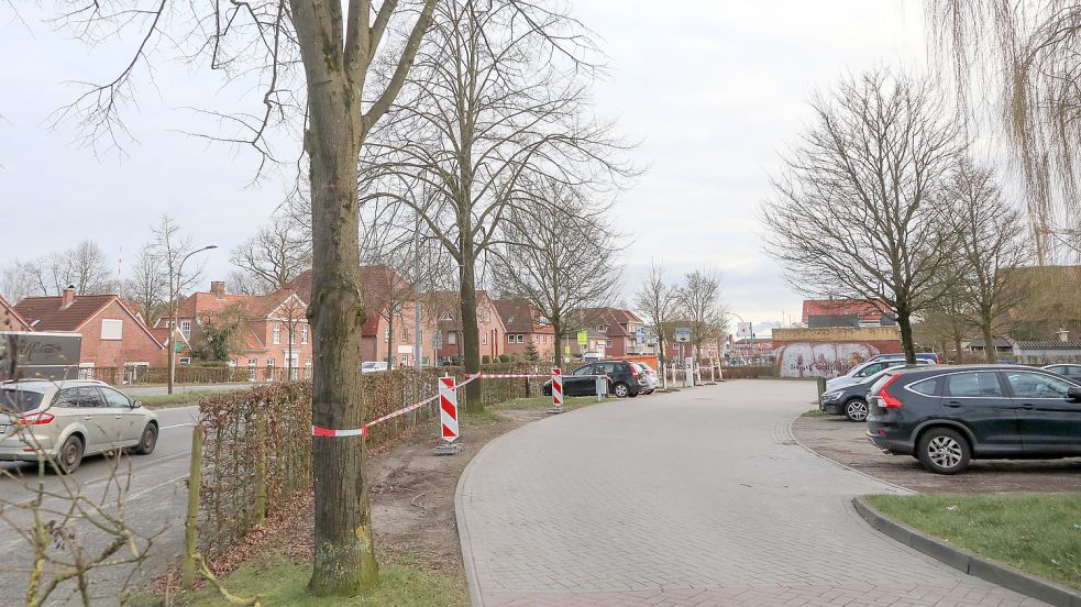 Am Parkplatz an der Großen Mühlenwallstraße werden heute Bäume und die Hecke entfernt. Foto: Romuald Banik