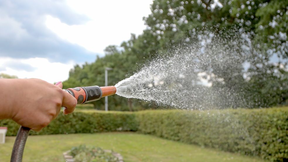 Der OOWV ruft dazu auf, weniger Wasser im Garten zu verbrauchen. Foto: Romuald Banik