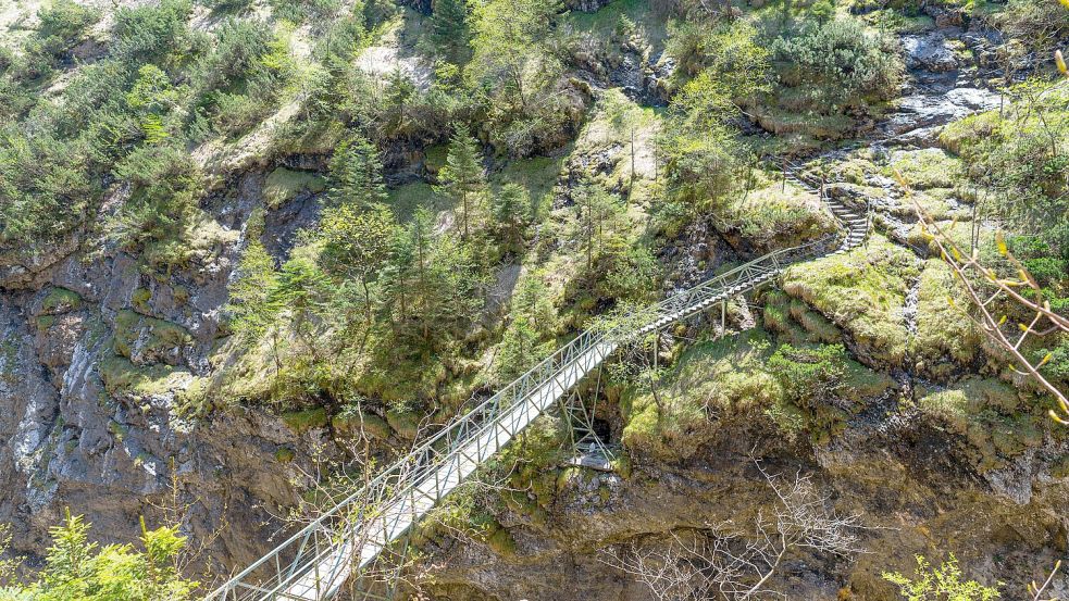 Ein Wanderweg auf dem Stangensteig. Ein Mann ist in der Region 150 Meter in die Tiefe gestürzt und gestorben. Foto: imago images/imagebroker