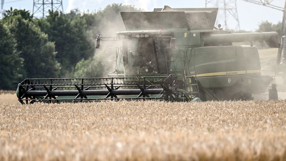 Die Landwirte im Kreis haben die Wintergerste gedroschen. Foto: DPA