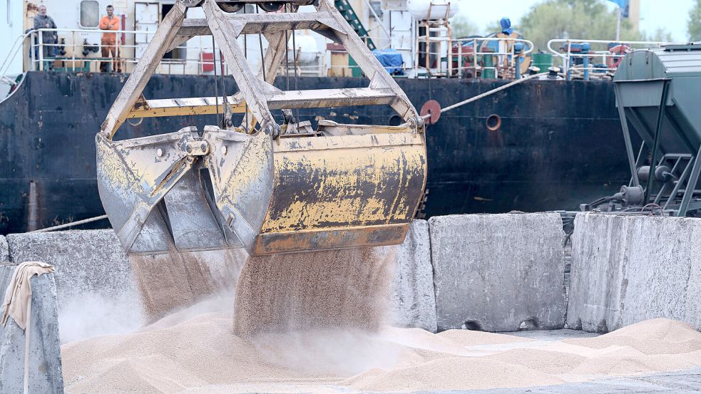 Arbeiter verladen Getreide in einem Getreidehafen. Foto: dpa/AP