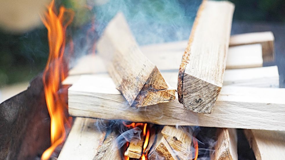 Es ist sehr unterschiedlich, was Händler derzeit für Kaminholz verlangen. Foto: Imago Images/Shotshop