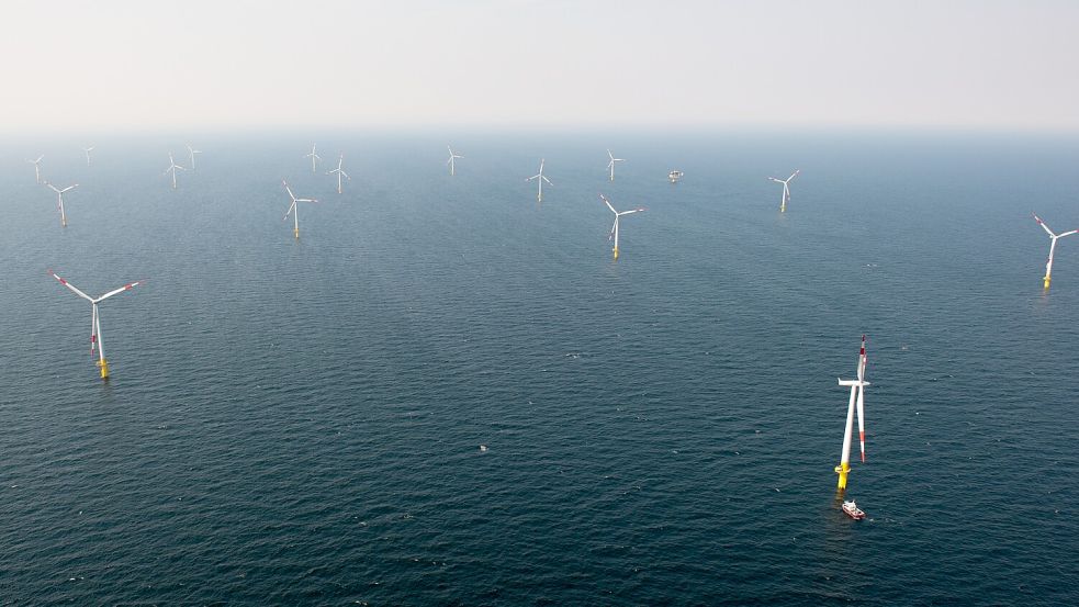 Luftaufnahme des Windparks „Baltic 1“ in der Ostsee. Immer größere Offshore-Anlagen sollen unseren Energiehunger decken. Aber wie naturverträglich und verlässlich sind die Industrie-Anlagen mitten im Meer? Foto: dpa-Zentralbild