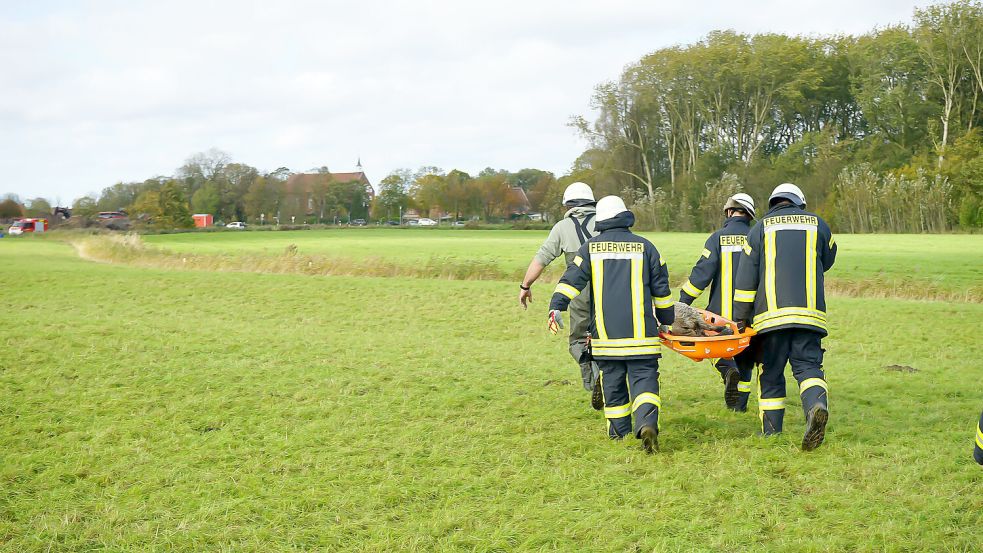 Nachdem die Feuerwehrleute das Tier aus dem Wasser gezogen hatten, trugen sie es in einer Trage davon. Foto: Feuerwehr