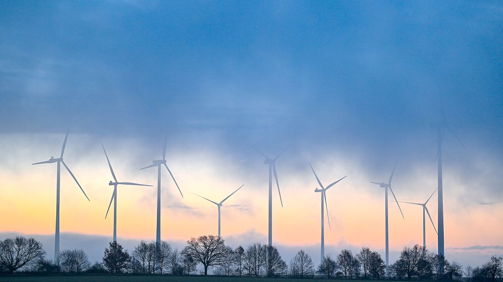 Windkraft voraus: Morgenstimmung in Brandenburg Foto: picture alliance/dpa/Patrick Pleul