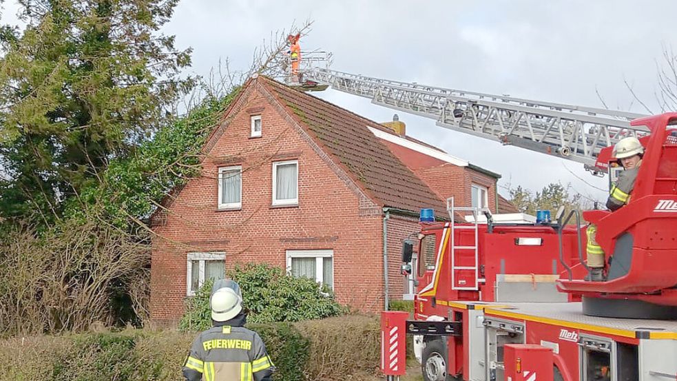 Mithilfe der Drehleiter kamen die Einsatzkräfte der Feuerwehr Ihlow an den Baum auf dem Dach. Foto: Hilko Ulfters