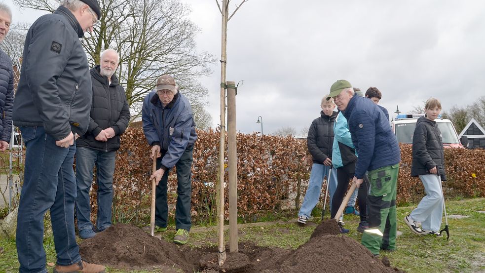 Die Mitglieder des Kegelclubs (links) haben schon 25 Jahren einen Baum gepflanzt und sahen nun Adolf Siebens (Mitte) und Wilhelm Ostermann (rechts) beim Schippen zu.