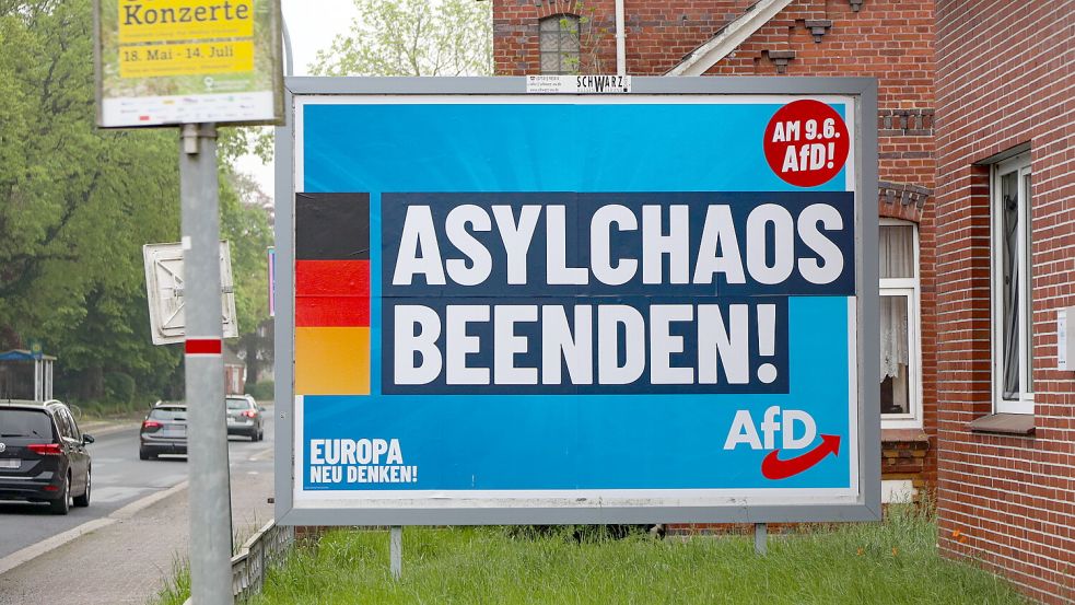 Die AfD warb in Riepe mit diesem Plakat. Foto: Romuald Banik