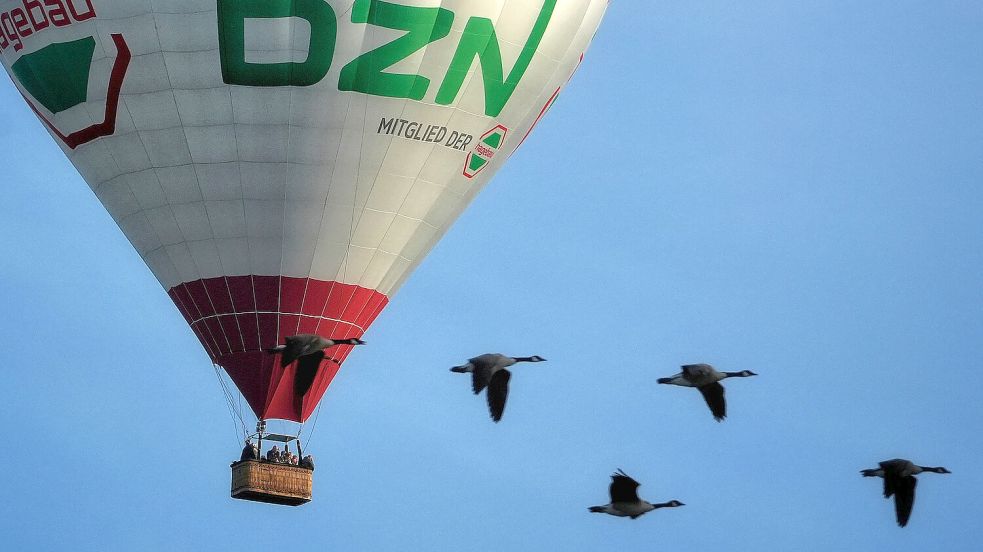 „Wettrennen am Auricher Abendhimmel“ nannte Manfred Schulte aus Aurich das Foto, das ihm im September den Monatsgewinn einbrachte. Sein Bild überzeugte auch die ON-Leser. Er wurde im Wettbewerb auf den dritten Platz gewählt.