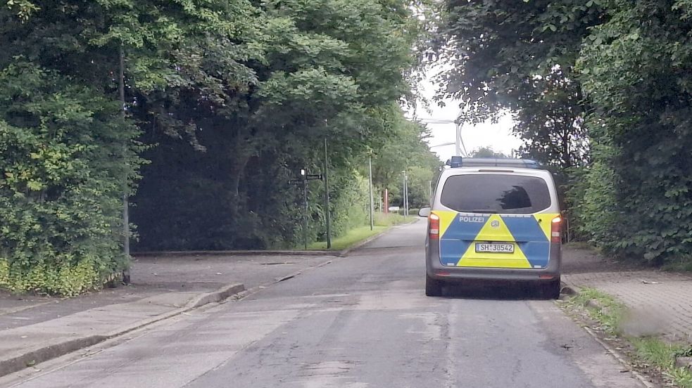 Am Eingang des Waldstückes an der Mühlenstraße in Niebüll wurde eine Leiche gefunden. Foto: Arndt Prenzel