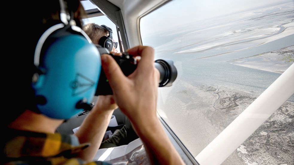 Vom Flugzeug aus, machen die Experten Fotos der Ruheplätze der Seehunde. Foto: DPA