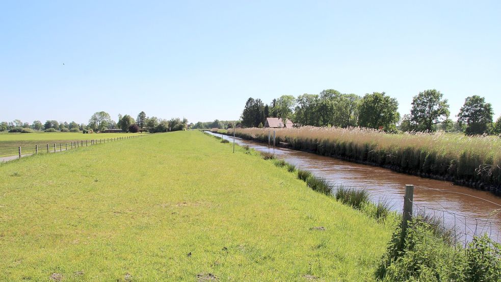 Bei Fahrradtouren durch die Gemeinde Ostrhauderfehn lässt sich die wunderbare Natur genießen.