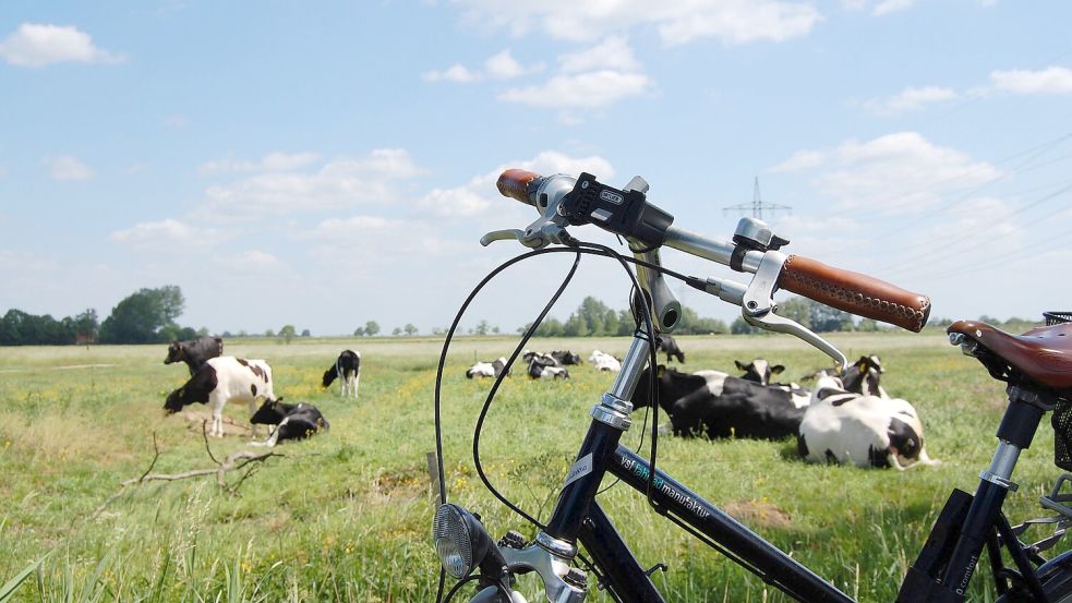 Die Gemeinde Moormerland lässt sich wunderbar mit dem Fahrrad erkunden. In der Tourist-Information gibt es Karten für die verschiedensten Tourenvorschläge. Foto: Ostfriesland Tourismus GmbH