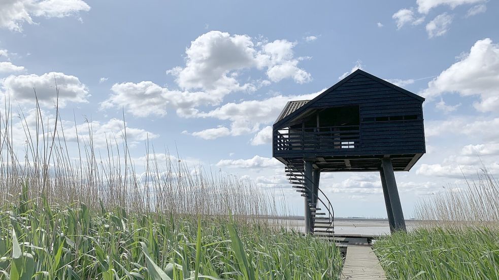 Vom Beobachtungsturm Kiekkaaste bei Bunde kann man das Leben im Watt wunderbar beobachten. Foto: ostfriesland.travel