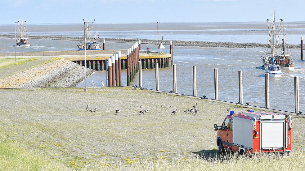 Eine Woche lang suchten die Fischer aus Greetsiel nach ihrem über Bord gegangenen Kollegen. Jetzt besteht traurige Gewissheit: Seine Leiche wurde gefunden. Foto: Wagenaar