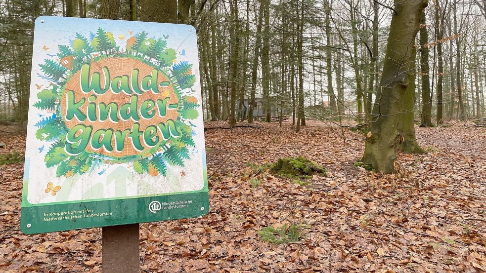 Der Waldkindergarten im Ihlower Forst ist ein Beispiel für einen Kindergarten in Trägerschaft eines Elternvereins. Auch die Elternvereine sind von den Änderungen betroffen. Foto: Christin Wetzel